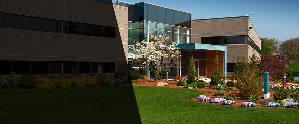 Mount Washington Landscapers