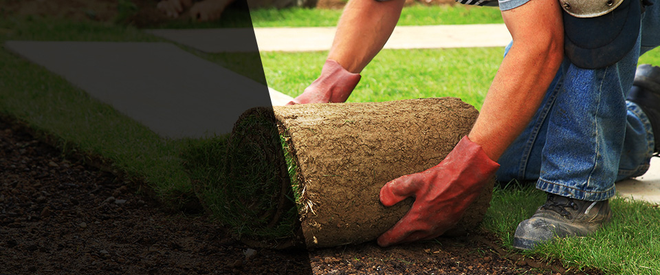 Mount Washington Landscapers